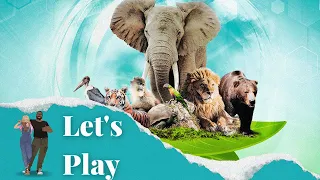 Lets Play - Ark Nova