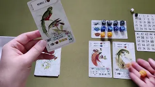 Bandada - How to Play [2-Player Game]