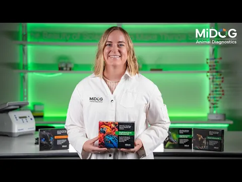 youtube-video-thumbnail