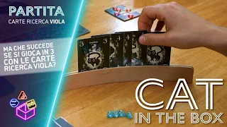 Cat in the box con carte ricerca viola (italiano) // MURASAKI NIGHTS GAMEPLAY