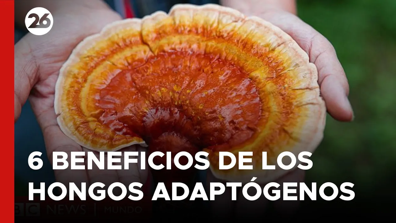 Video de Alma Vitalia