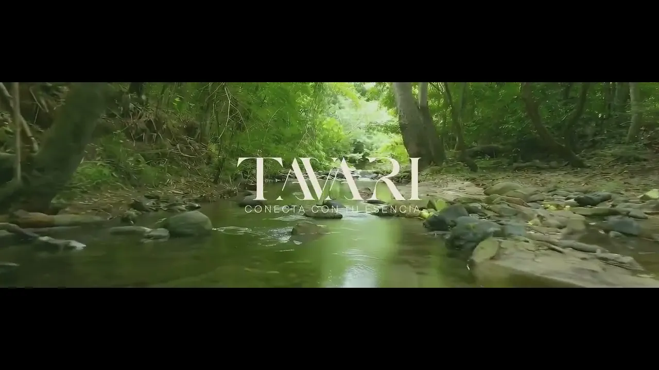 Video de TAVARI