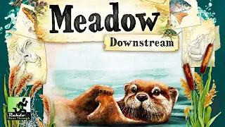 Meadow: Downstream - why didn't this expansion work for me (but my wife loved it)?