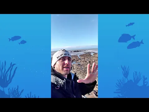 Vignette de la vidéo