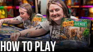 How To Play Bark Avenue!