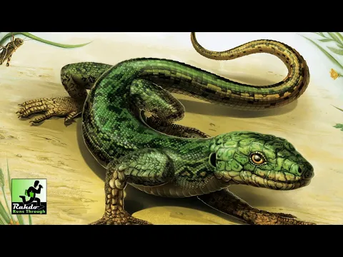 Rahdo Previews►►►  Evolution: New World