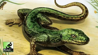 Rahdo Previews►►► Evolution: New World