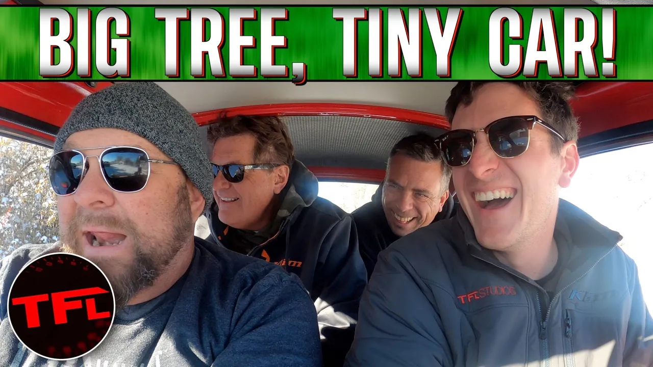 Italian Job: This Is Absolutely the WRONG Car to Take Christmas Tree Shopping!