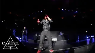 Daddy Yankee - Madison Square Garden (2011) [Live]