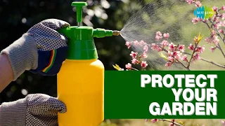 Protect your garden | Gardening tips | Nani maa ke nuskhe | Saregama Podcast