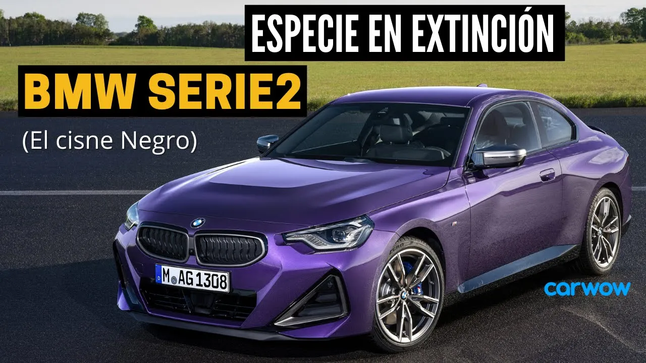 DEPORTIVO y PARA EL DÍA A DÍA: EL BMW "SERIO" 2 ES UNA ESPECIE EN EXTINCIÓN