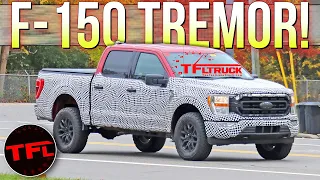 SPIED! Move Over FX4 — The Ford F-150 TREMOR Is The New Off-Road Sheriff In Town!