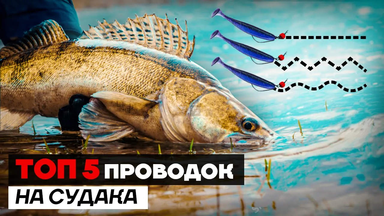 rybalka