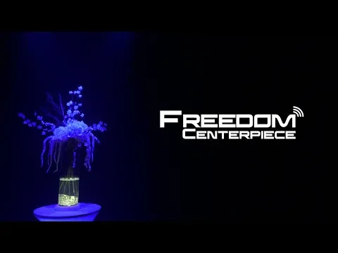 Product video thumbnail for Chauvet Freedom Centerpiece Wireless Battery-Powered Uplight 4-Pack