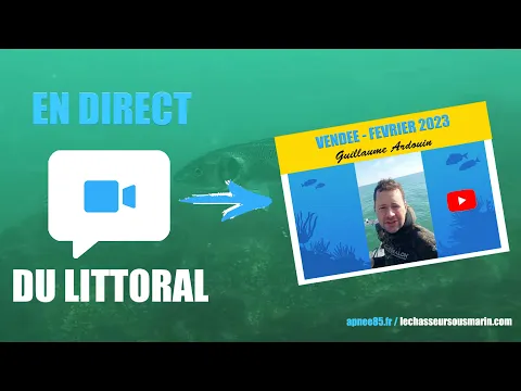 Vignette de la vidéo