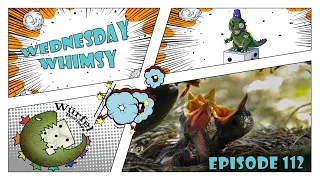 Wednesday Whimsy - Episode 112 - Games I Can't Wait For!
