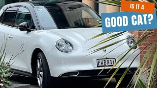 Good Cat? Does Ora's first EV live up to its name?