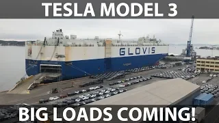 Big load of Model 3 arriving in Oslo
