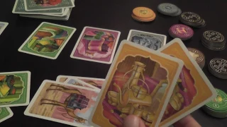 Jaipur Review