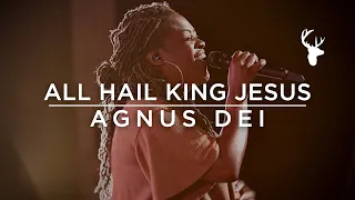 All Hail King Jesus + Agnus Dei - Rheva Henry | Moment