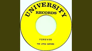 Thumbnail for Forever - The Little Dippers