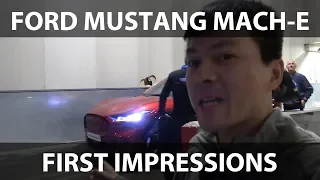 Ford Mustang Mach-E quick view