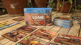 How to Play Loam: The Game of Soil Biodiversity