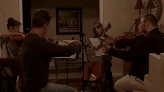 The First Noel (String Quartet Version) - Sarah Joy