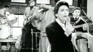 The Outsiders - Time Won´t Let Me  (1966)