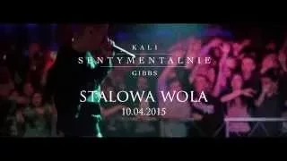 Kali Gibbs Sentymentalnie Tour 2015 Live STALOWA WOLA Labirynt 10.04.2015