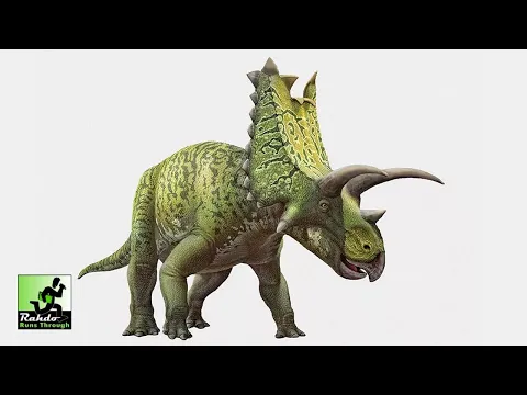 Holotype: Mesozoic North America Run Through