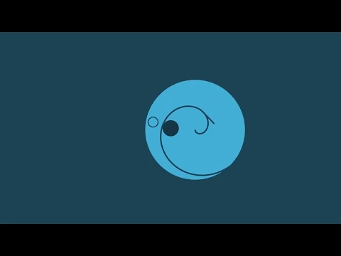 Video z circloO