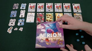 Pit Stop: Aerion