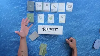 Reforest - Solo Playthrough #2 w/ Old Growth Expansion and Modules