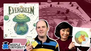 Evergreen - Is it like Photosynthesis?