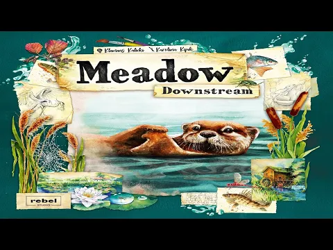 Meadow: Downstream - Discussion