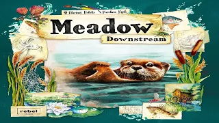 Meadow: Downstream - Discussion