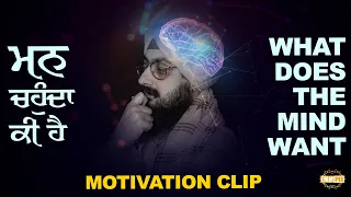 What does our mind wants