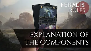 Feralis - Explanation of components