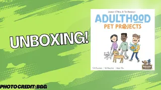Adulthood Pet Projects: Unboxing