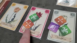 Tulip Bubble: How to Play