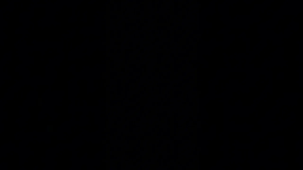 Video de Catarina Vest