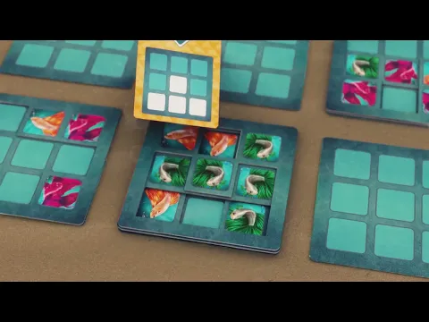 EN Betta How to Play