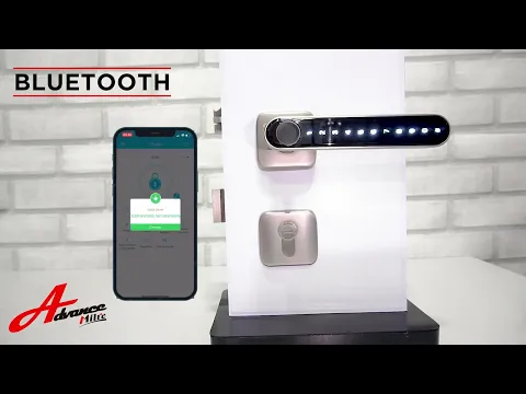 We Link Módulo De Conexão Via Wi-Fi Advance