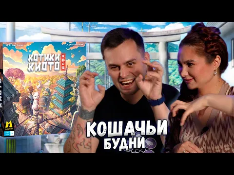 Милые японские КОТИКИ! | Настольная игра КОТИКИ КИОТО