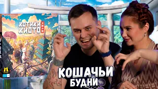 Милые японские КОТИКИ! | Настольная игра КОТИКИ КИОТО