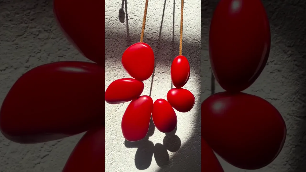 Video de Cecilia Pont