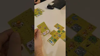 Confusing Lands