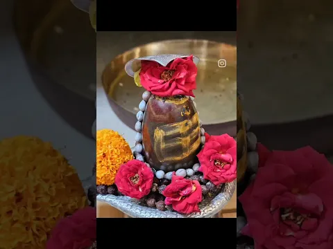 youtube-video-thumbnail