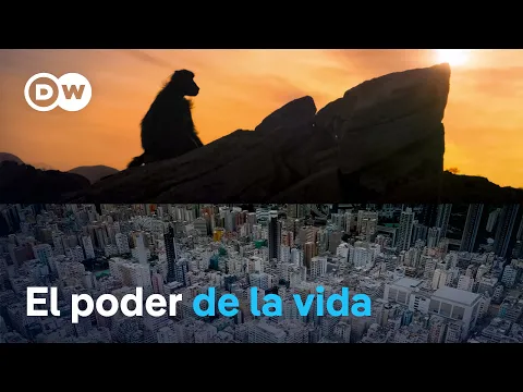 youtube-video-thumbnail
